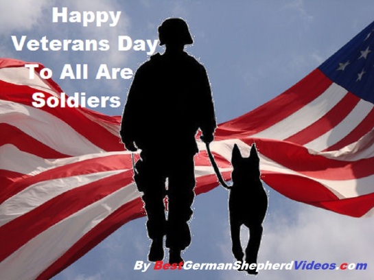 HAPPY VETERANS DAY TO ALL ARE SOLDIERS WE SALUTE YOU 